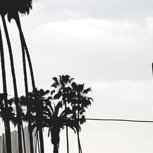 Meet your Posher, Isa